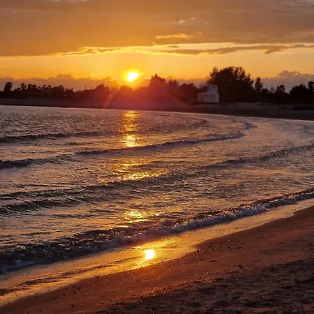 Maison Moderne 300m De La Rochelongue *